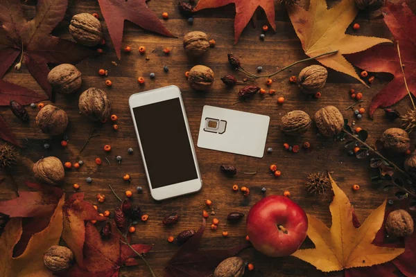 Мобильный Телефон Sim Карта Осенней Конфигурацией Сверху Плоская Кладка Смартфона — стоковое фото