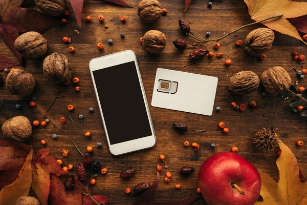 Mobile Phone Sim Card Autumn Arrangement Top View Flat Lay — Stock Photo, Image