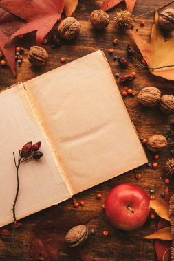 Boş günlüğü sayfa kopya alanı Sonbahar dekorasyonu ile. Üstten görünüm düz boş eski sahte kağıt yüzeyi masaya kadar yatıyordu.