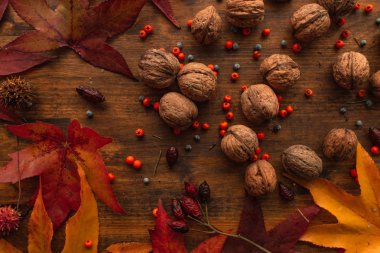 Kabuk, üst tablo görünümünü ceviz bol renkli akçaağaç yaprakları ile süslenmiş