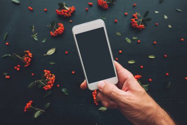 Smartphone ekran sahte vahşi berry meyve düzenleme ile dekore edilmiş koyu arka plan üzerinde kullanarak ele