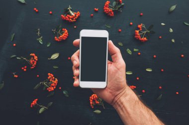 Smartphone ekran sahte vahşi berry meyve düzenleme ile dekore edilmiş koyu arka plan üzerinde kullanarak ele