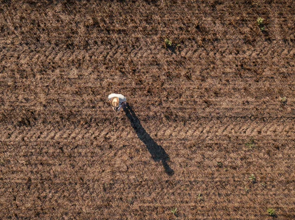 Top View Male Farmer Flying Drone Remote Control Harvested Wheat — Stock Photo, Image