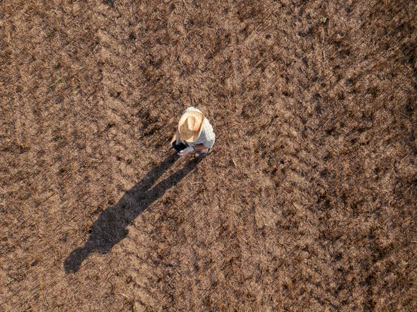 Top View Male Farmer Flying Drone Remote Control Harvested Wheat — Stock Photo, Image