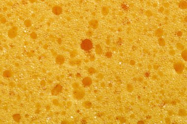 Makro doku sarı sünger