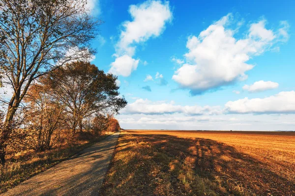 Strada Vuota Attraverso Campagna Pianeggiante Nel Tardo Autunno — Foto Stock