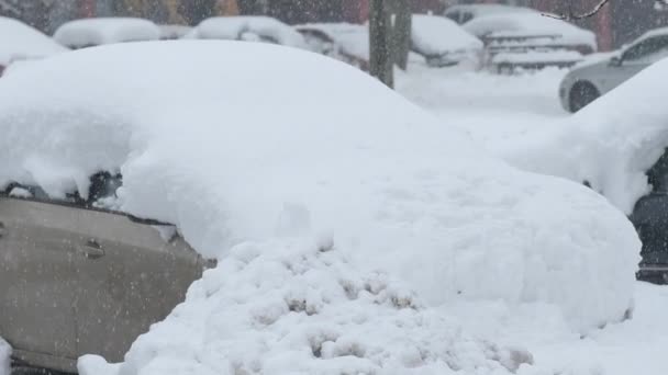 Snow Covering Cars Parking Lot Winter Season Scene — Stock Video