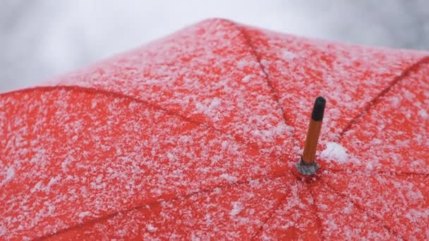 Nahaufnahme Von Rotem Regenschirm Schnee Mit Frost Und Schneeflocken Zeitlupe — Stockvideo