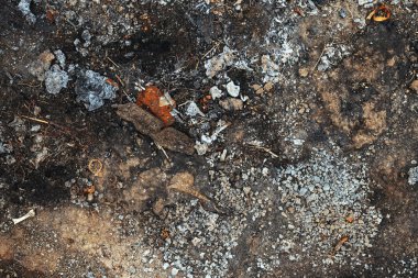 Yüzey doku kayalar ve kırık cam kaba