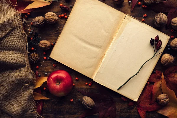 Blank Diary Page Copy Space Autumn Decoration Empty Old Mock — Stock Photo, Image