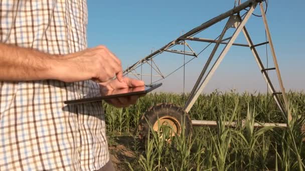 Ernstige Betrokken Landbouwproducent Met Gebruikmaking Van Tablet Cornfield Met Irrigatiesysteem — Stockvideo