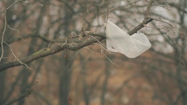 Πλαστική Σακούλα Κρέμονται Από Κλαδί Δέντρου Χειμώνα — Αρχείο Βίντεο