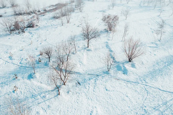 Luftaufnahme Einer Verschneiten Ödnis Mit Kahlen Bäumen Die Schatten Auf — Stockfoto