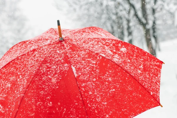 Primer Plano Paraguas Rojo Nieve Con Heladas Copos Nieve —  Fotos de Stock