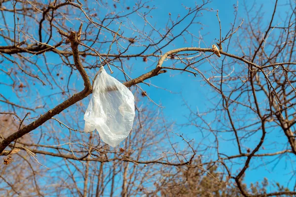 光秃秃的树枝上的白色塑料袋 — 图库照片