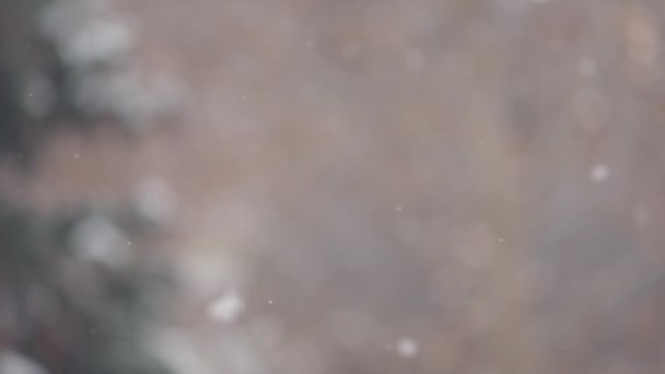 Idyllische Sneeuwval Bokeh Winter Seizoen Achtergrond Slow Motion — Stockvideo