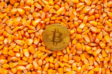 Bitcoin mısır çekirdekleri yığın, cryptocurrency de dahil olmak üzere ticari faaliyet için kavramsal görüntü üstüne emtia ticaret tarım işinde ilgili.