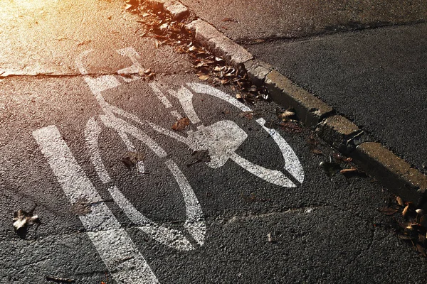 Fiets Rijstrook Teken Impressum Onderweg Bedekt Met Droge Herfstbladeren — Stockfoto