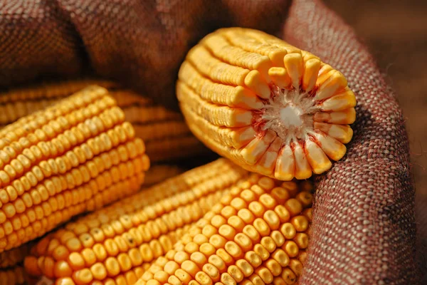 Geerntete Maiskolben Kleesack Selektiver Fokus — Stockfoto