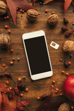 SIM kart ve sonbahar dekorasyon, düz ile modern smartphone üstten görünüm yatıyordu