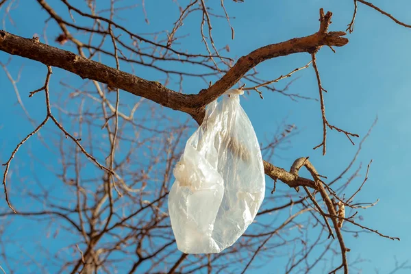 Λευκή Πλαστική Σακούλα Γυμνά Κλαδιά — Φωτογραφία Αρχείου
