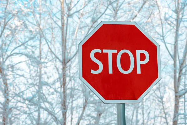 Segnale Stradale Stop Con Alberi Innevati Sullo Sfondo — Foto Stock