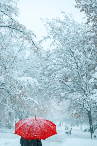 Mulher Sob Guarda Chuva Vermelho Neve Desfrutando Primeira Queda Neve — Fotografia de Stock