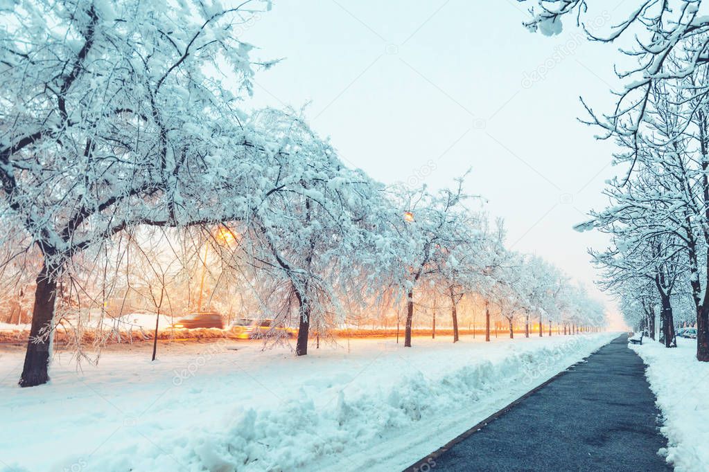 Empty street covered in snow in evening, frozen treetops lit by the street light lamps