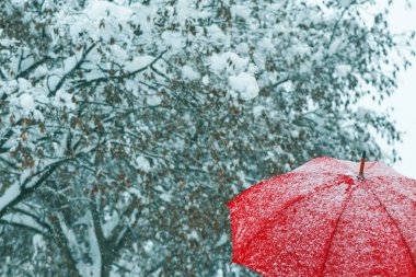 Frost ve kar taneleri ile karda kırmızı şemsiye, yakın çekim