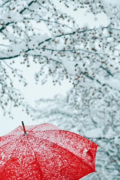 Gros Plan Parapluie Rouge Dans Neige Avec Givre Flocons Neige — Photo