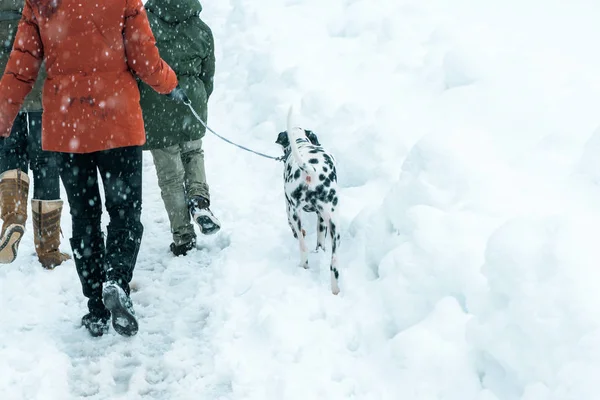 Happy Family Walking Dalmatian Dog Pet Outdoors Winter Snow Stock Picture