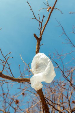 Çıplak ağaç dalları üzerinde beyaz plastik torba