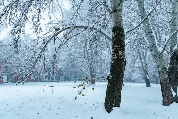 Vintermorgon Liten Park Urban Bostadsområde — Stockfoto