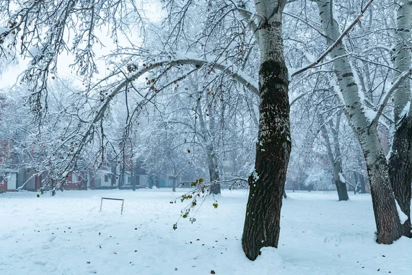 Зимнее Утро Маленьком Парке Городском Жилом Районе — стоковое фото