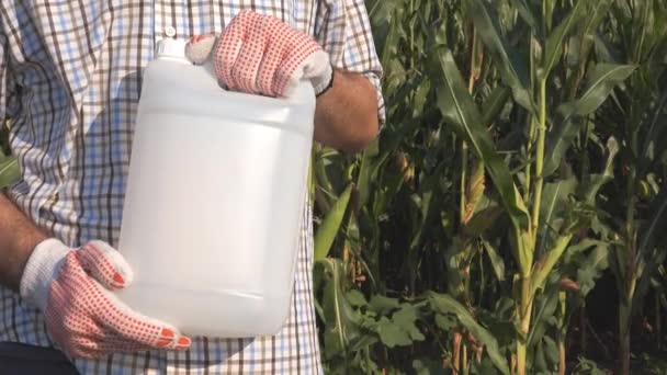 农民在田间持有未标记的农药罐 农学专家推荐除草剂用于玉米作物保护 — 图库视频影像