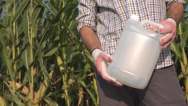 农民在田间持有未标记的农药罐 农学专家推荐除草剂用于玉米作物保护 — 图库视频影像