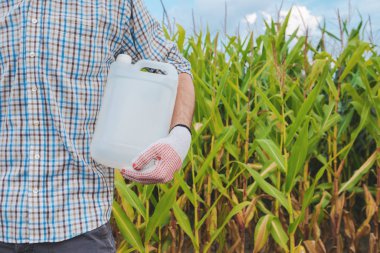 Farmer holding unlabeled pesticide jug in field, agronomist recommends hebicide for corn crop protection, mock up clipart