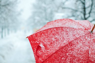 Frost ve kar taneleri ile karda kırmızı şemsiye, yakın çekim