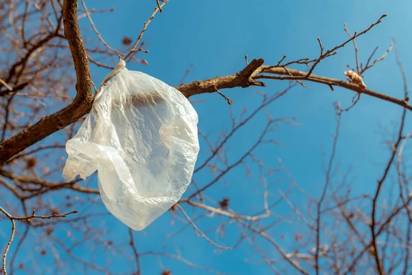 Bolsa Plástico Blanco Ramas Desnudas Árboles — Foto de Stock