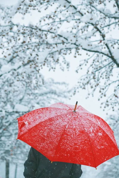 冬のシーズンの最初の雪を楽しむ雪の中赤い傘の下で女性 — ストック写真