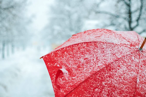 Primer Plano Paraguas Rojo Nieve Con Heladas Copos Nieve —  Fotos de Stock