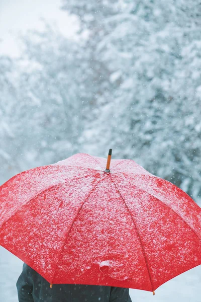 Frau Unter Rotem Regenschirm Schnee Genießt Den Ersten Schneefall Der — Stockfoto