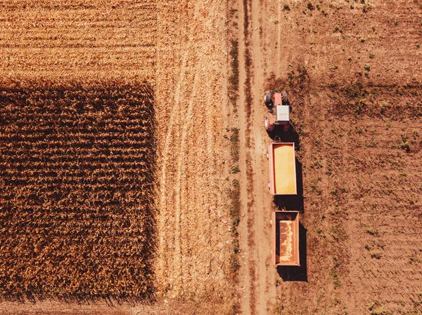 Vista Aérea Trator Agrícola Com Carrinhos Carga Campo Carregados Com — Fotografia de Stock