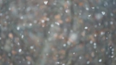 Yavaş, sığ derinlik-in tarla ile soyut kış sezon arka plan olarak büyük kar taneleri pastoral kar yağışı