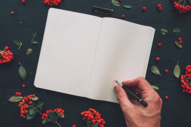 Üstten görünüm düz yatıyordu el yazma günlük, alay vahşi berry meyve düzenleme ile dekore edilmiş ahşap arka plan üzerinde kopya yer