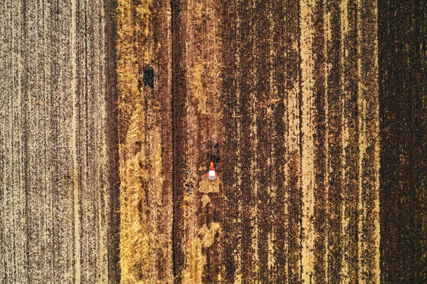 从无人机的寒冷秋空午后农业拖拉机耕田鸟图 — 图库照片