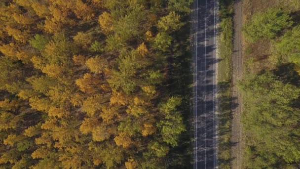 Felülnézet Autó Úton Erdőn Légi Felvétel Drone Pov — Stock videók