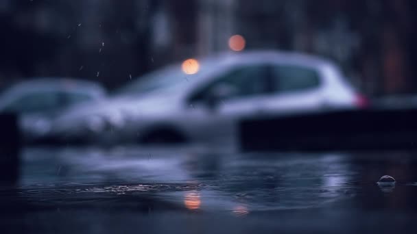 Motregen Regendruppel Rimpels Een Vijver Bij Nacht Slow Motion — Stockvideo