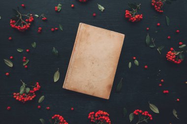Düz yatıyordu vintage ciltli kitap, vahşi berry meyve decoarative düzenleme ile üstten görünüm