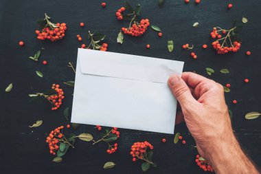 Beyaz boş zarf sahte kopya yer vahşi berry meyve düzenleme ile süslenmiş karanlık masaüstü arka planı üzerinde tutan el